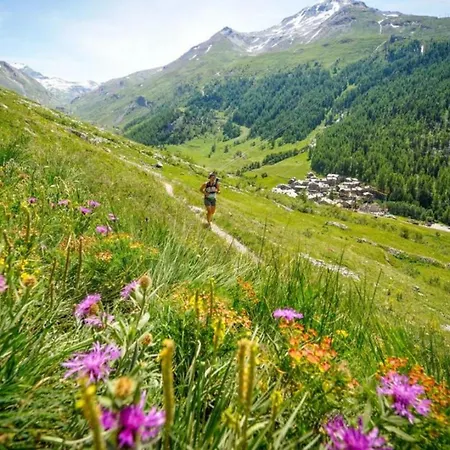 Genevrier - Spacious Balcony With Mont Blanc Views Appartamento Chamonix