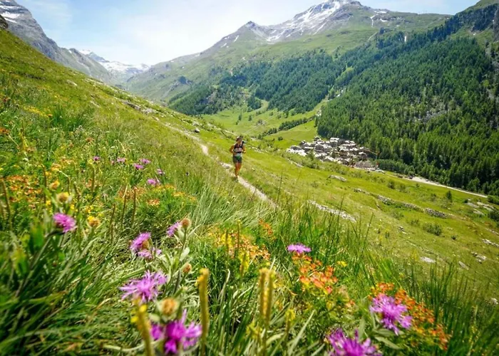 Genevrier - Spacious Balcony With Mont Blanc Views Apartment Chamonix
